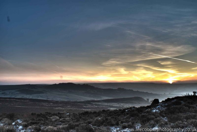 the roaches as i really saw it.jpg